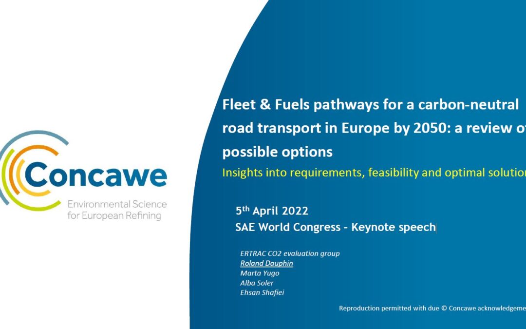 Fleet & Fuels pathways for a carbon neutral road transport in Europe by 2050: a review of possible options